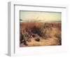 Sand Dunes I-Amy Melious-Framed Premium Giclee Print