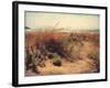 Sand Dunes I-Amy Melious-Framed Art Print