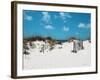 Sand Dunes I-Todd Williams-Framed Art Print