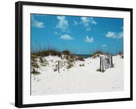 Sand Dunes I-Todd Williams-Framed Art Print