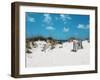 Sand Dunes I-Todd Williams-Framed Art Print