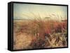 Sand Dunes II-Amy Melious-Framed Stretched Canvas