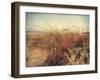 Sand Dunes II-Amy Melious-Framed Art Print