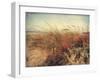 Sand Dunes II-Amy Melious-Framed Art Print