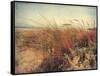 Sand Dunes II-Amy Melious-Framed Stretched Canvas