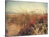 Sand Dunes II-Amy Melious-Stretched Canvas
