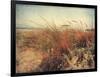 Sand Dunes II-Amy Melious-Framed Art Print