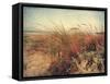 Sand Dunes II-Amy Melious-Framed Stretched Canvas