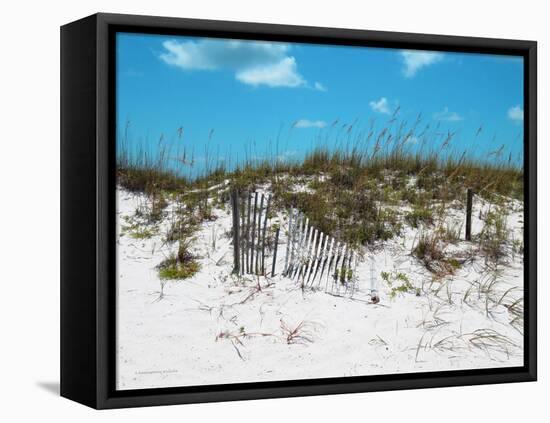 Sand Dunes II-Todd Williams-Framed Stretched Canvas