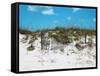 Sand Dunes II-Todd Williams-Framed Stretched Canvas