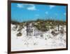 Sand Dunes II-Todd Williams-Framed Art Print