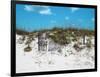 Sand Dunes II-Todd Williams-Framed Art Print