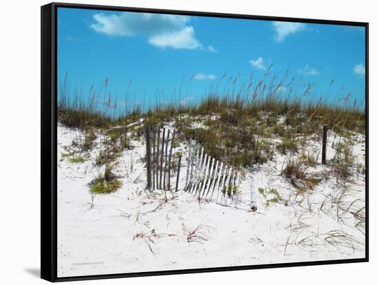 Sand Dunes II-Todd Williams-Framed Stretched Canvas