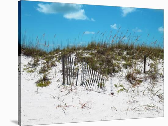 Sand Dunes II-Todd Williams-Stretched Canvas