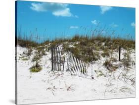 Sand Dunes II-Todd Williams-Stretched Canvas