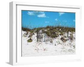 Sand Dunes II-Todd Williams-Framed Art Print