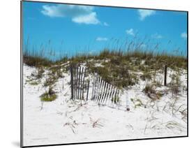 Sand Dunes II-Todd Williams-Mounted Art Print