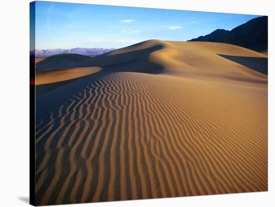 Sand Dunes in Death Valley-Bill Ross-Stretched Canvas