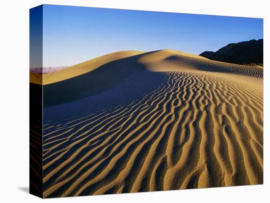 Sand Dunes in Death Valley-Bill Ross-Stretched Canvas