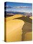 Sand Dunes in Death Valley-Rudy Sulgan-Stretched Canvas