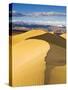 Sand Dunes in Death Valley-Rudy Sulgan-Stretched Canvas