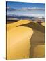 Sand Dunes in Death Valley-Rudy Sulgan-Stretched Canvas