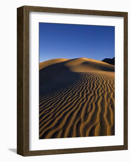 Sand Dunes in Death Valley-Bill Ross-Framed Photographic Print