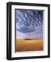 Sand Dunes in Erg Chebbi Sand Sea, Sahara Desert, Near Merzouga, Morocco, North Africa, Africa-Lee Frost-Framed Photographic Print