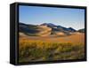 Sand Dunes in Mesquite Flat, Death Valley National Park, California, USA-Bernard Friel-Framed Stretched Canvas