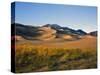 Sand Dunes in Mesquite Flat, Death Valley National Park, California, USA-Bernard Friel-Stretched Canvas