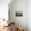 Sand Dunes in Mesquite Flat, Death Valley National Park, California, USA-Bernard Friel-Photographic Print displayed on a wall