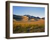 Sand Dunes in Mesquite Flat, Death Valley National Park, California, USA-Bernard Friel-Framed Photographic Print