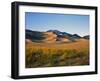 Sand Dunes in Mesquite Flat, Death Valley National Park, California, USA-Bernard Friel-Framed Photographic Print