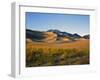 Sand Dunes in Mesquite Flat, Death Valley National Park, California, USA-Bernard Friel-Framed Photographic Print