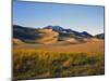 Sand Dunes in Mesquite Flat, Death Valley National Park, California, USA-Bernard Friel-Mounted Photographic Print