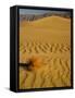 Sand Dunes in Morning Light, Mesquite Flats, Death Valley National Park, California, USA-Darrell Gulin-Framed Stretched Canvas