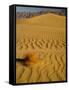 Sand Dunes in Morning Light, Mesquite Flats, Death Valley National Park, California, USA-Darrell Gulin-Framed Stretched Canvas