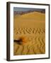 Sand Dunes in Morning Light, Mesquite Flats, Death Valley National Park, California, USA-Darrell Gulin-Framed Photographic Print