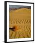 Sand Dunes in Morning Light, Mesquite Flats, Death Valley National Park, California, USA-Darrell Gulin-Framed Photographic Print