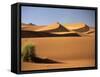 Sand Dunes in Namib Desert, Namibia-Walter Bibikow-Framed Stretched Canvas