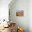 Sand Dunes in Namib Desert, Namibia-Walter Bibikow-Stretched Canvas displayed on a wall