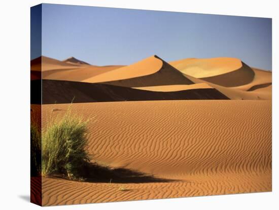 Sand Dunes in Namib Desert, Namibia-Walter Bibikow-Stretched Canvas