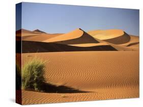 Sand Dunes in Namib Desert, Namibia-Walter Bibikow-Stretched Canvas