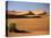 Sand Dunes in Namib Desert, Namibia-Walter Bibikow-Stretched Canvas