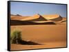 Sand Dunes in Namib Desert, Namibia-Walter Bibikow-Framed Stretched Canvas