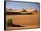 Sand Dunes in Namib Desert, Namibia-Walter Bibikow-Framed Stretched Canvas