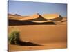 Sand Dunes in Namib Desert, Namibia-Walter Bibikow-Stretched Canvas