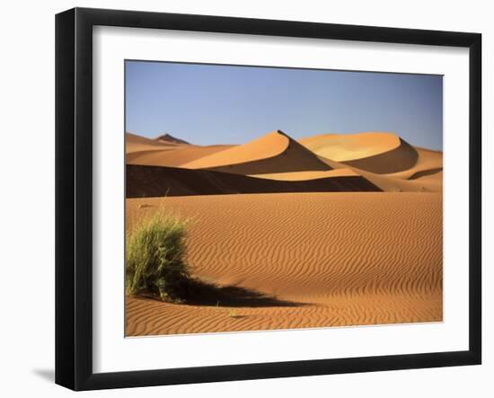 Sand Dunes in Namib Desert, Namibia-Walter Bibikow-Framed Photographic Print