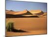 Sand Dunes in Namib Desert, Namibia-Walter Bibikow-Mounted Photographic Print