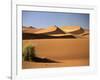 Sand Dunes in Namib Desert, Namibia-Walter Bibikow-Framed Photographic Print